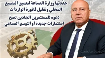 28 فرصة دفعة واحدة.. الصناعة تطرح حزمة استثمارية جديدة لتعميق التصنيع المحلي 1